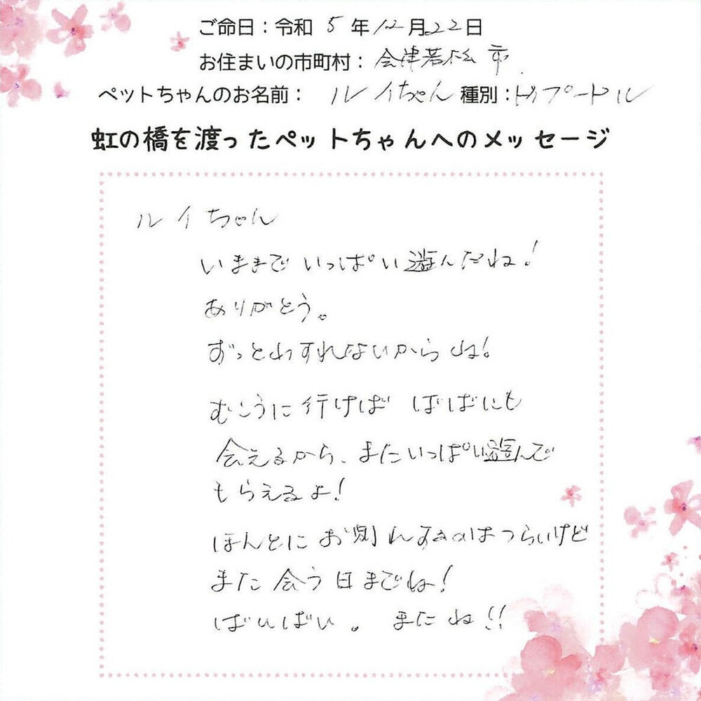 ブログ