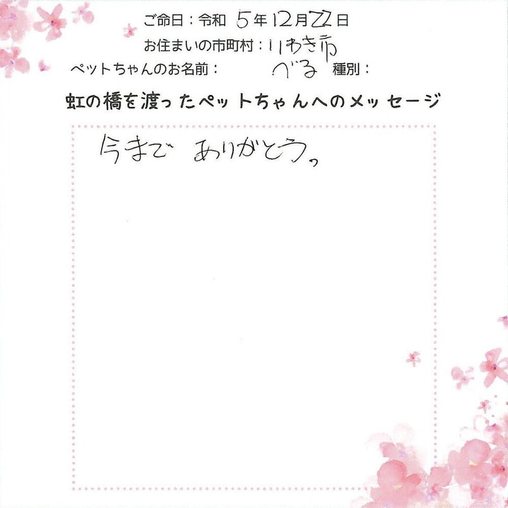 ブログ