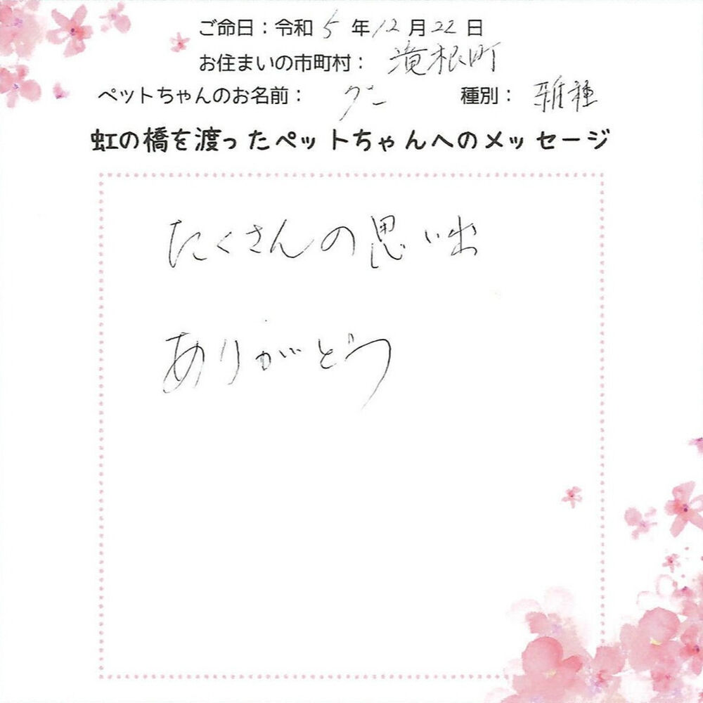ブログ