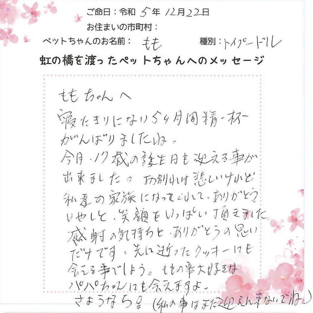 ブログ