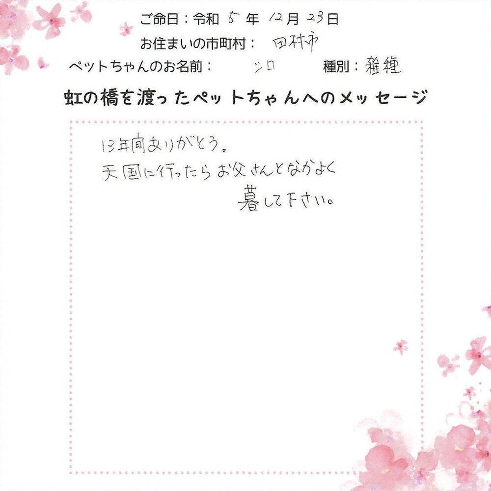 ブログ