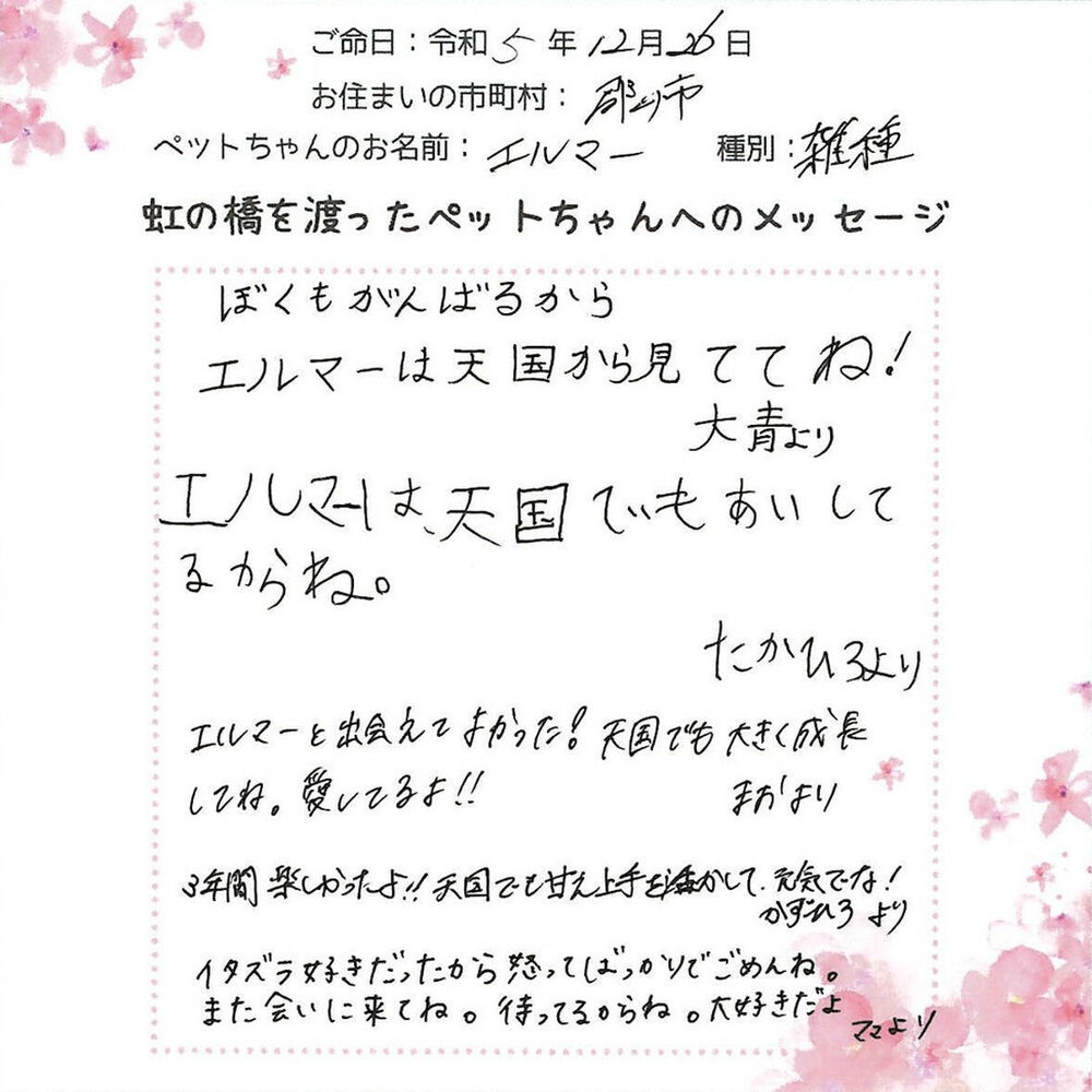 ブログ