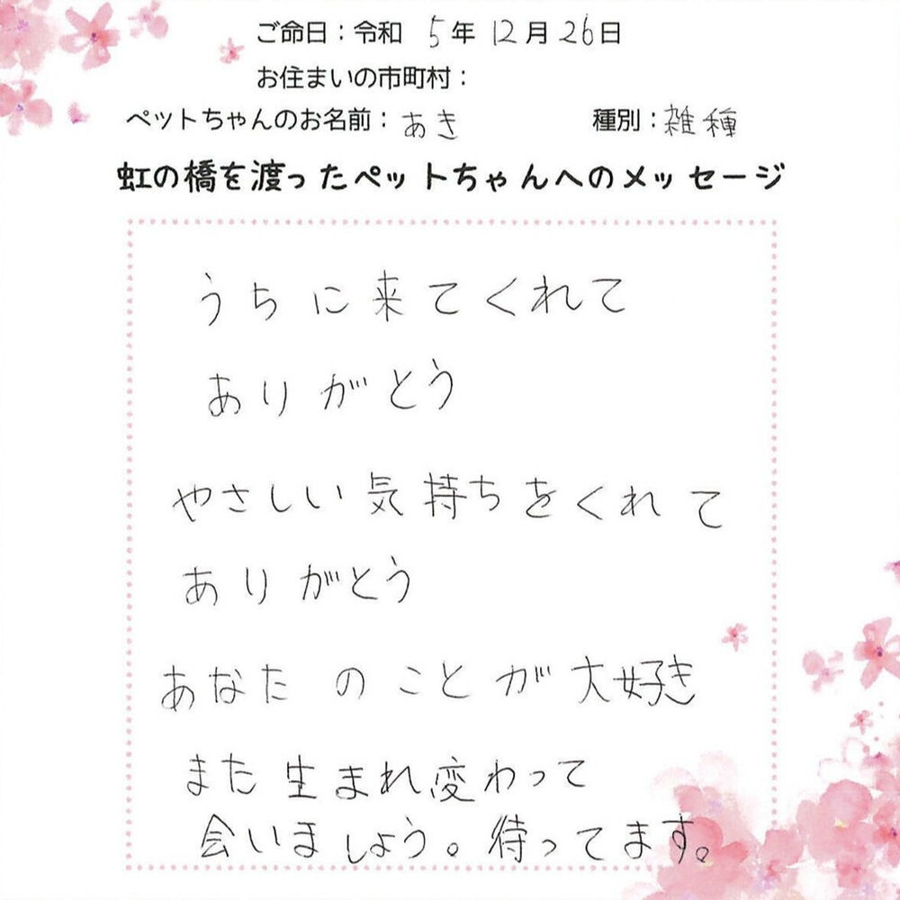 ブログ
