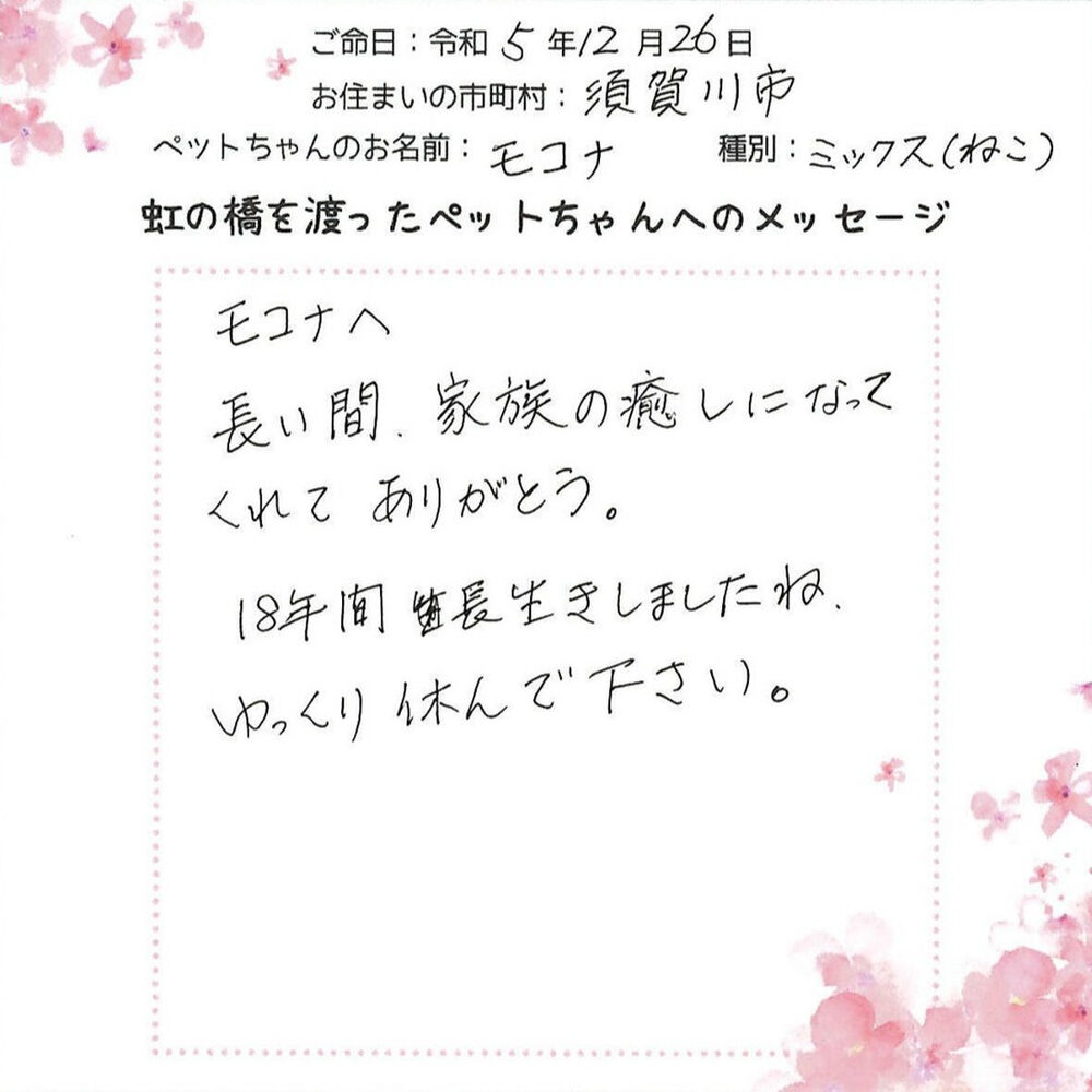 ブログ