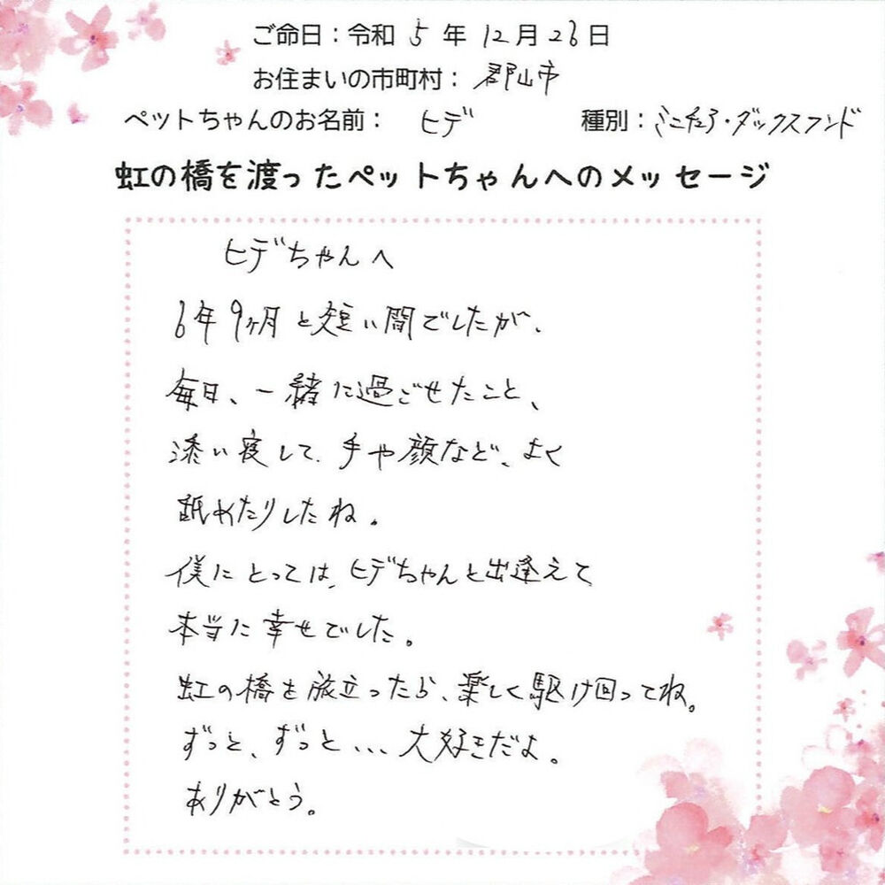 ブログ