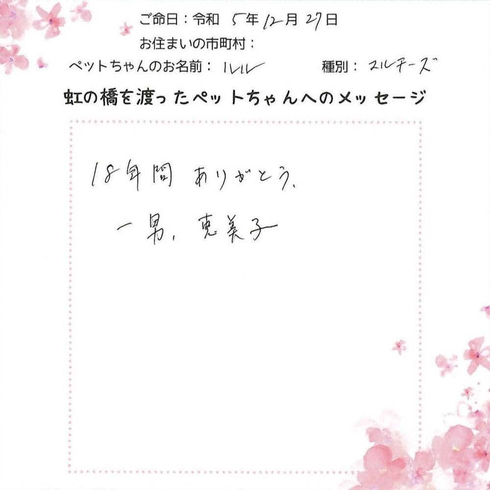ブログ