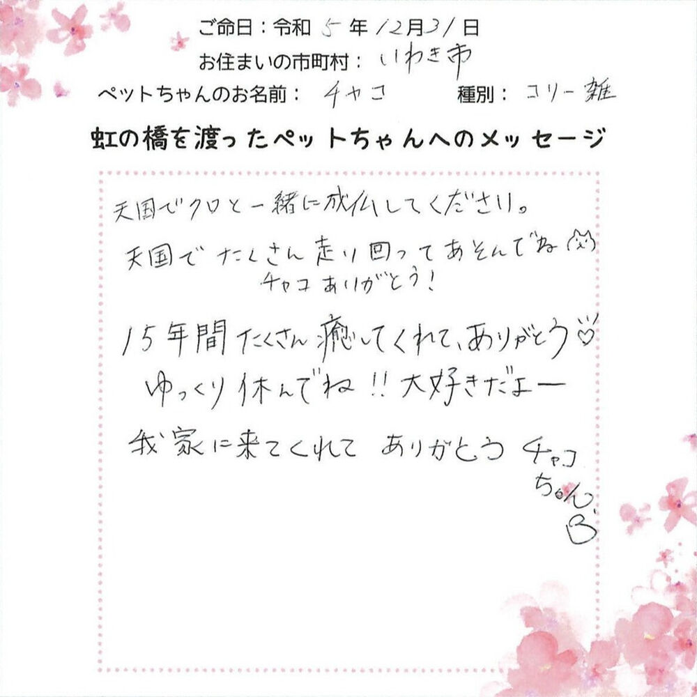 ブログ