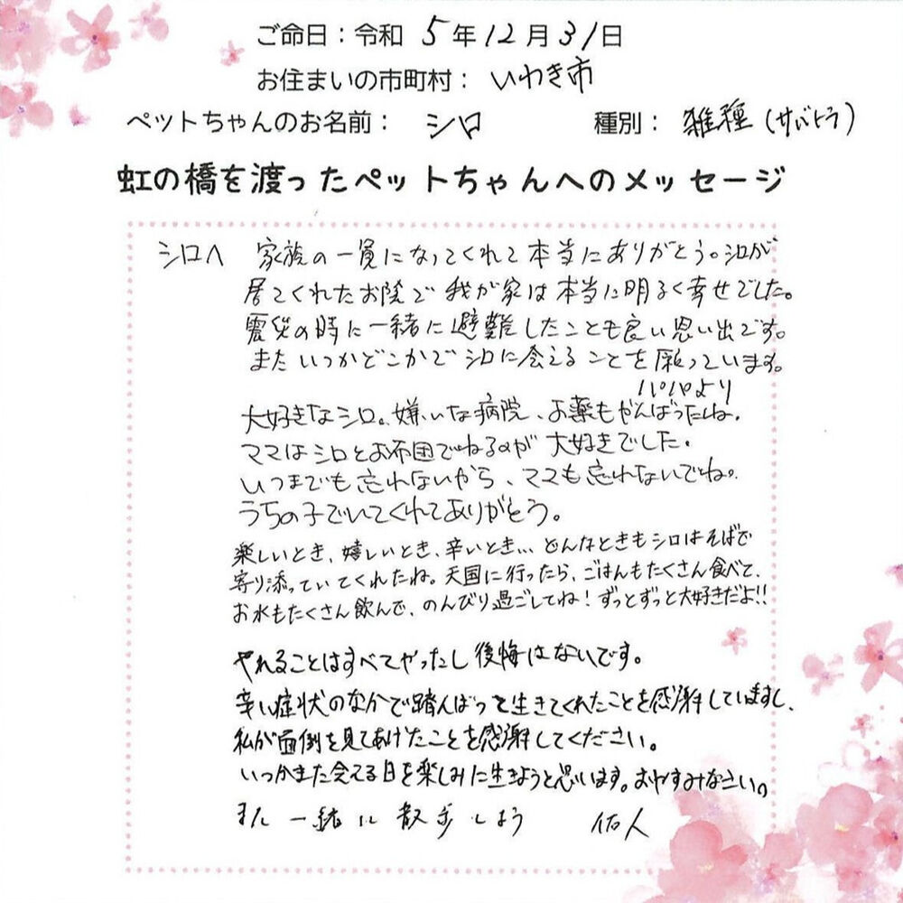 ブログ