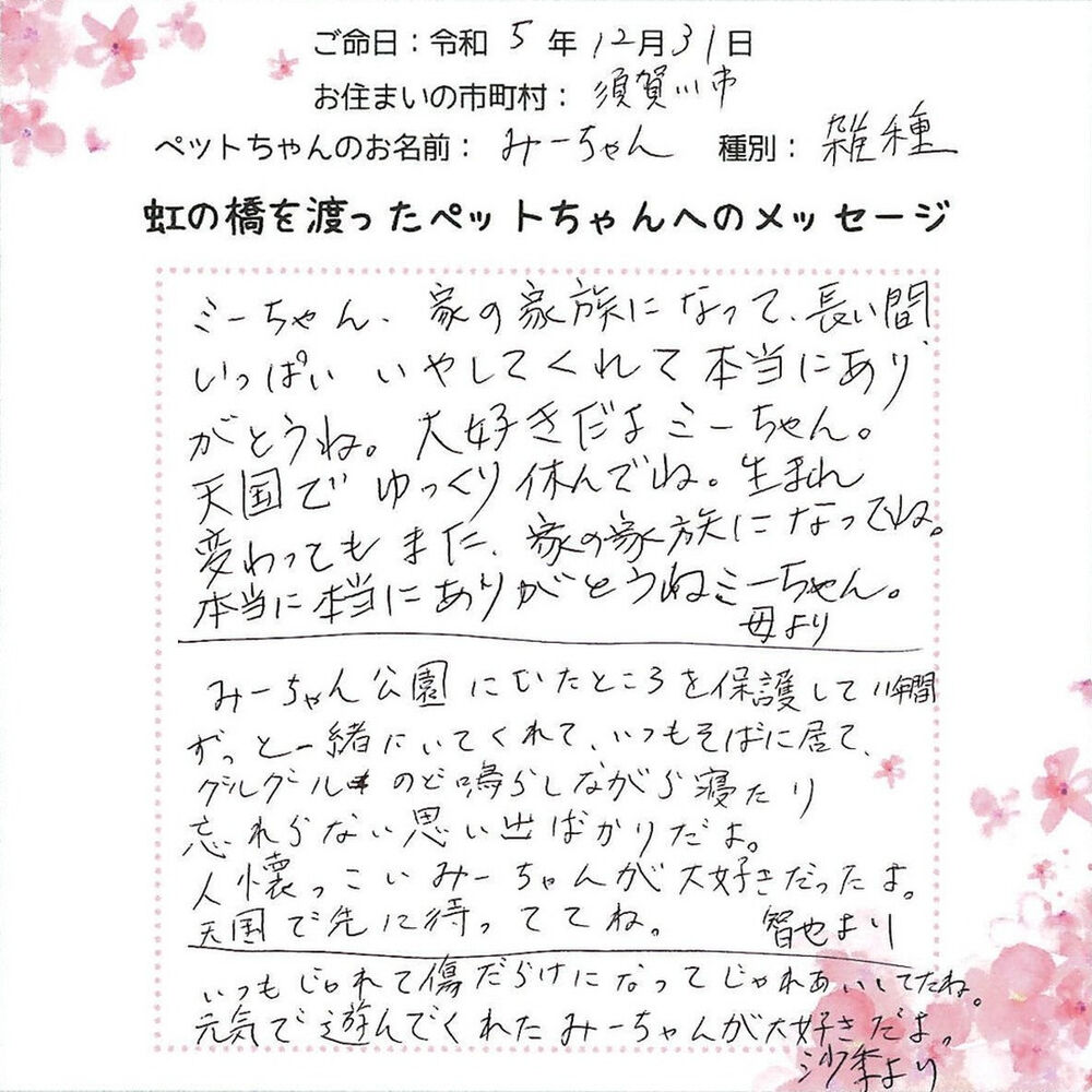 ブログ