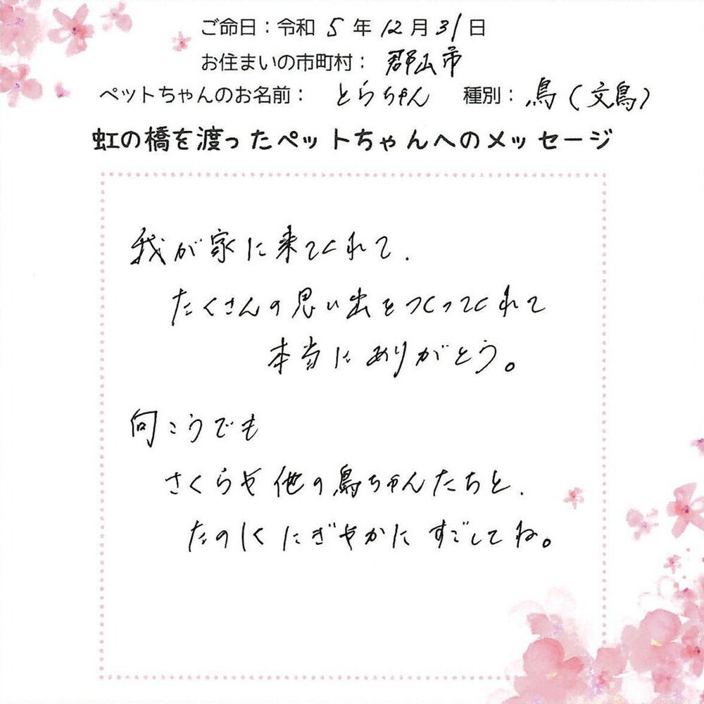 ブログ