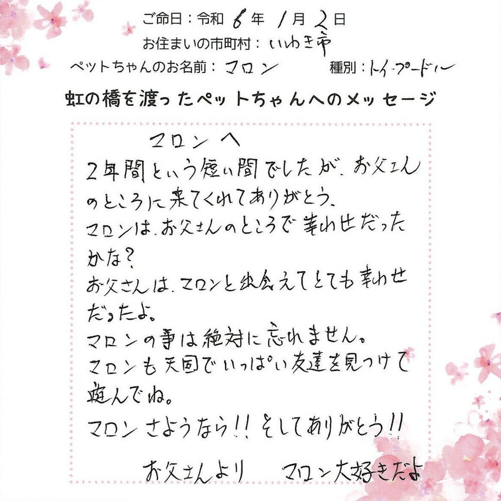 ブログ