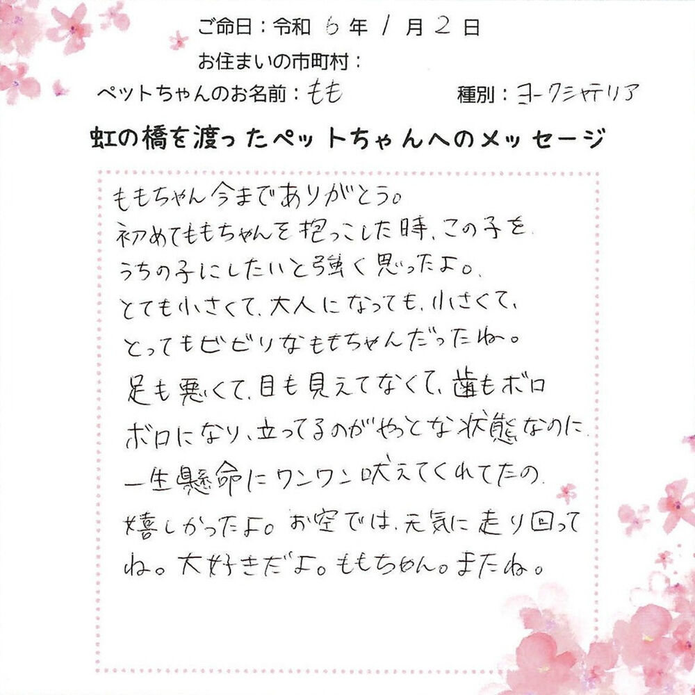 ブログ