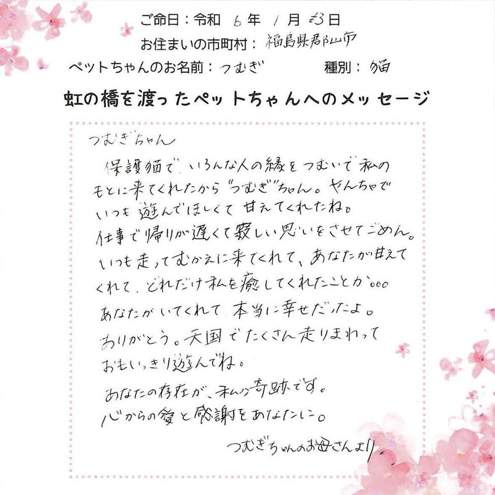 ブログ