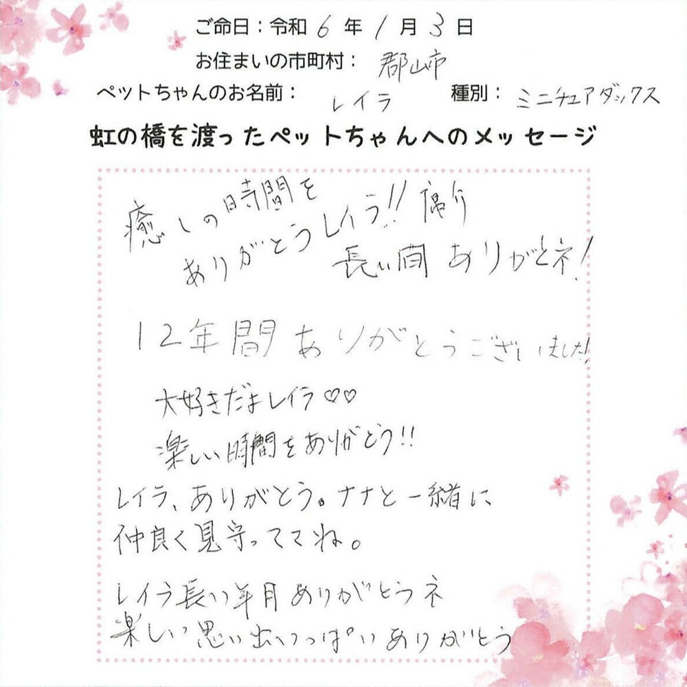 ブログ