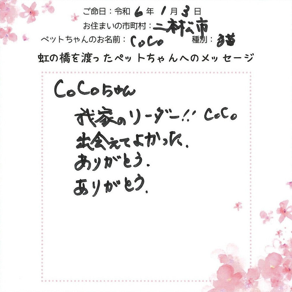 ブログ
