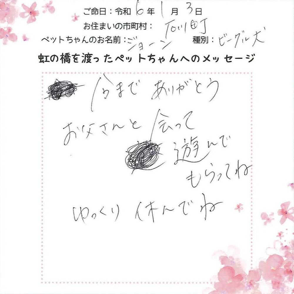 ブログ