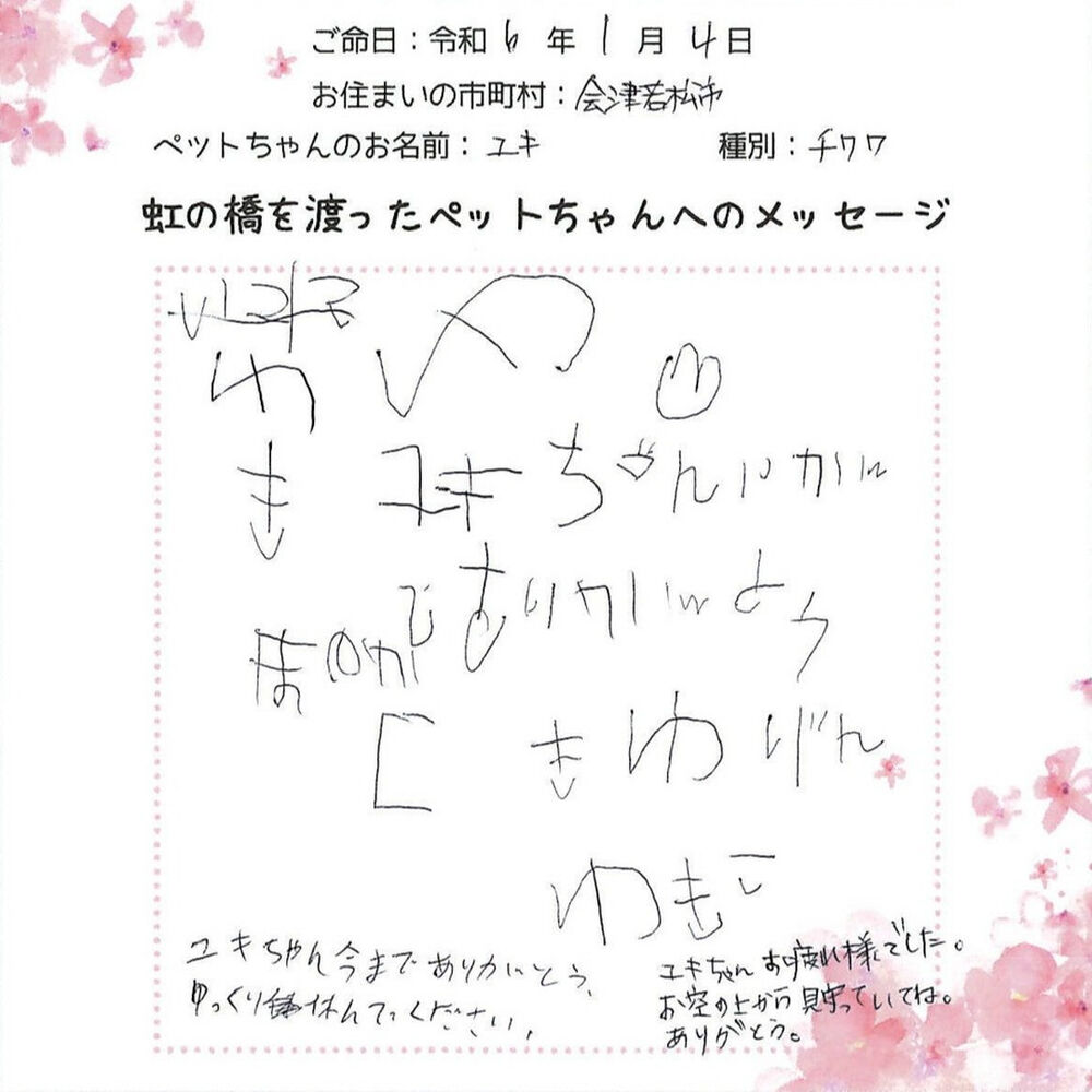 ブログ