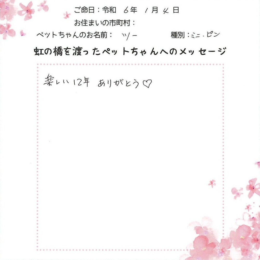 ブログ