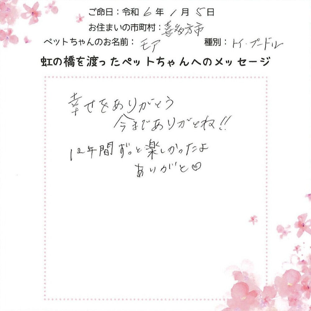 ブログ