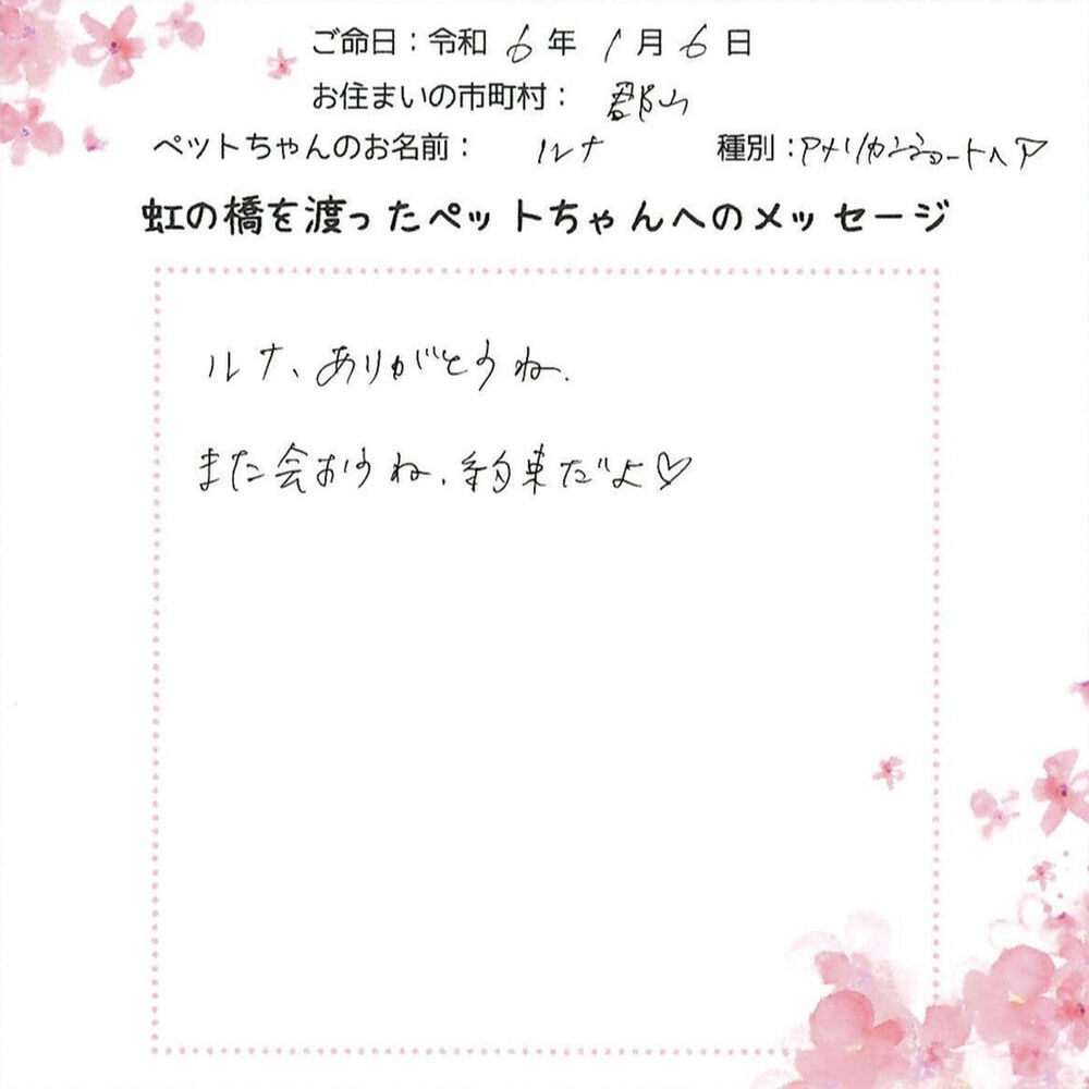 ブログ