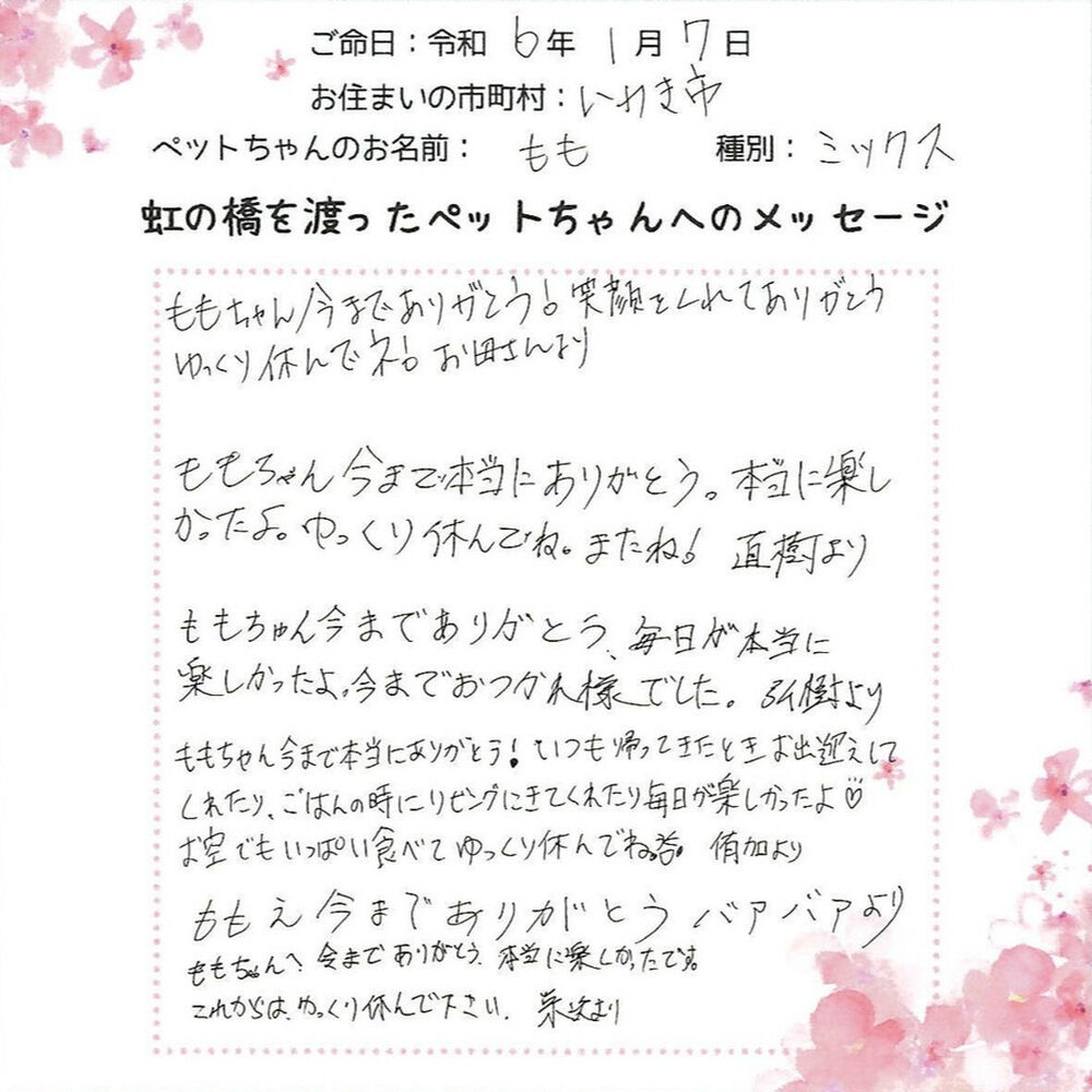 ブログ