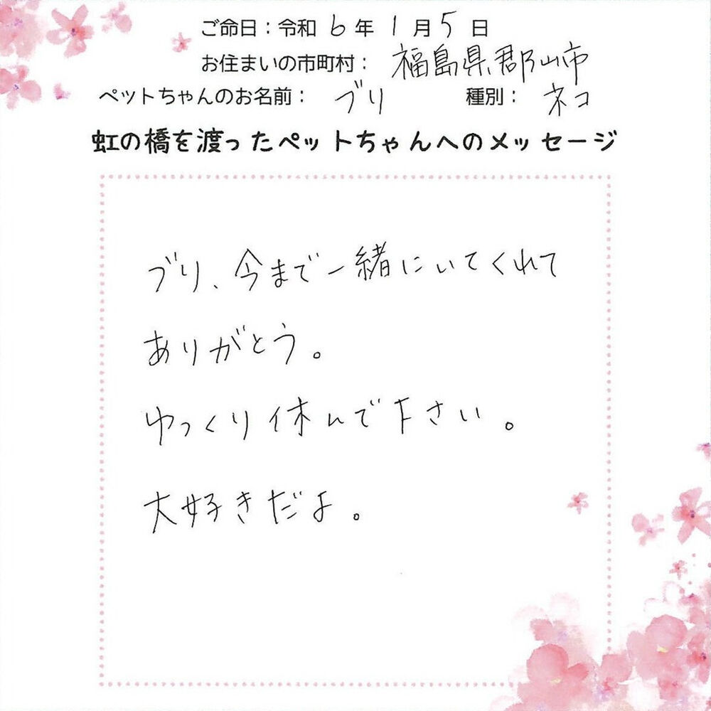 ブログ