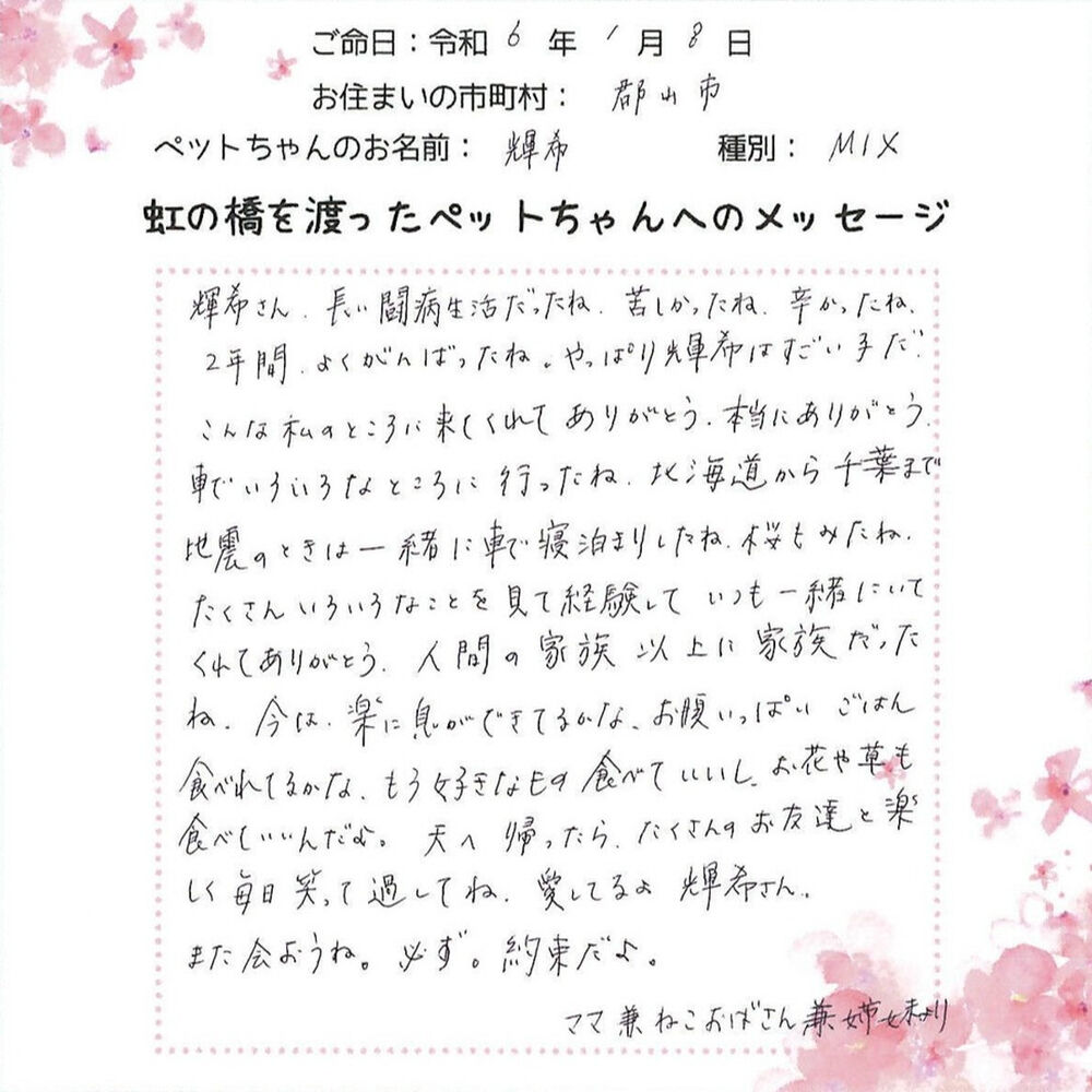 ブログ