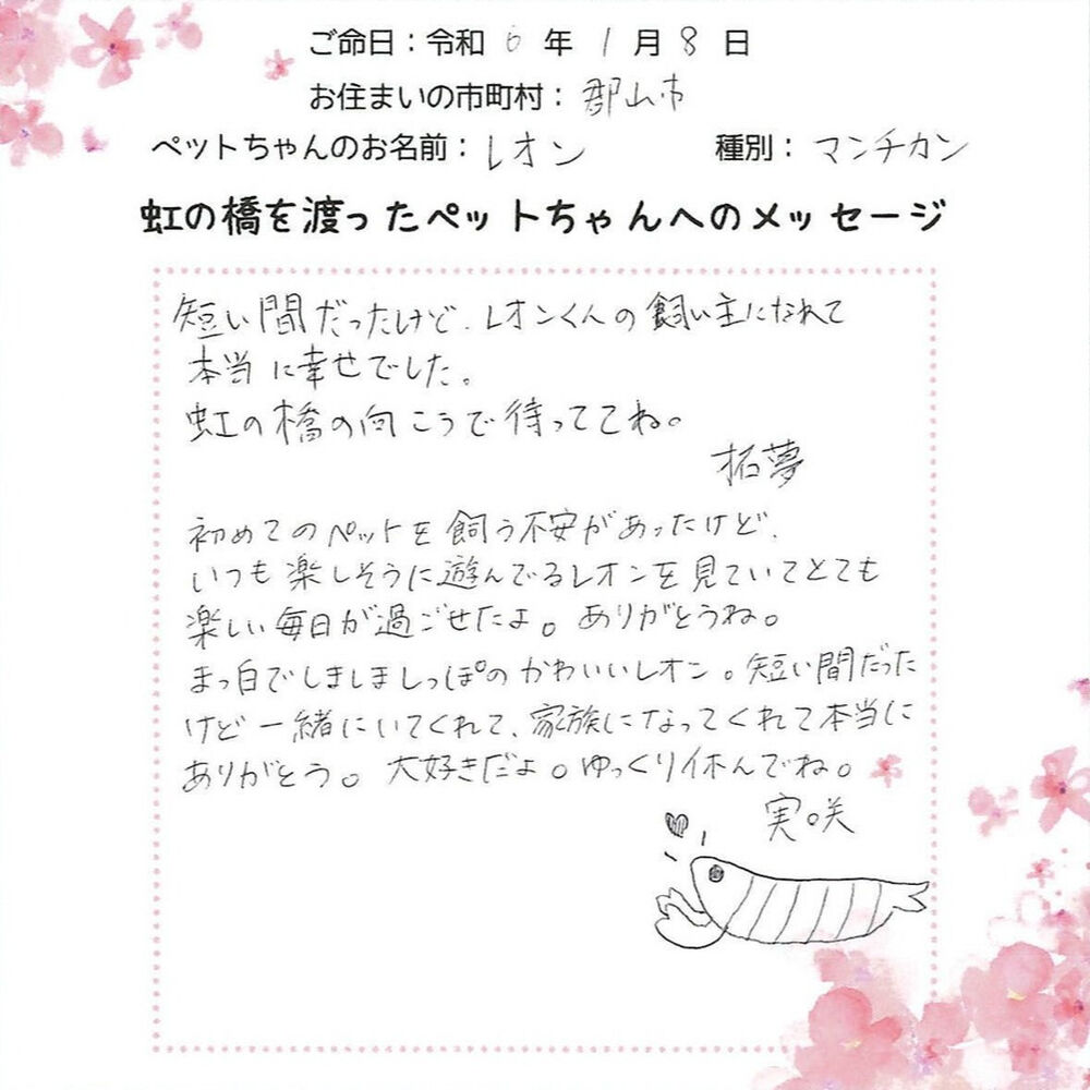 ブログ