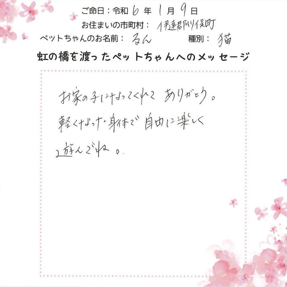 ブログ