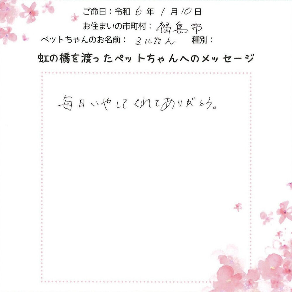 ブログ