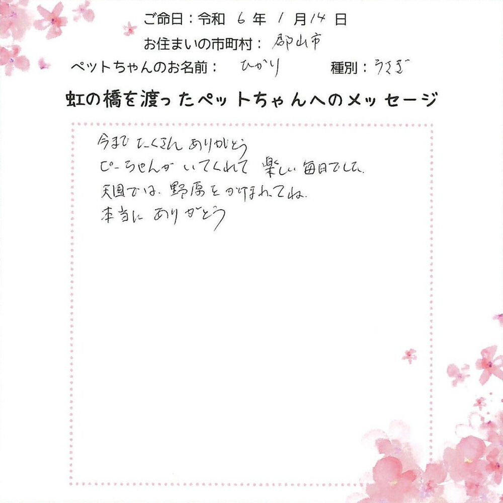 ブログ