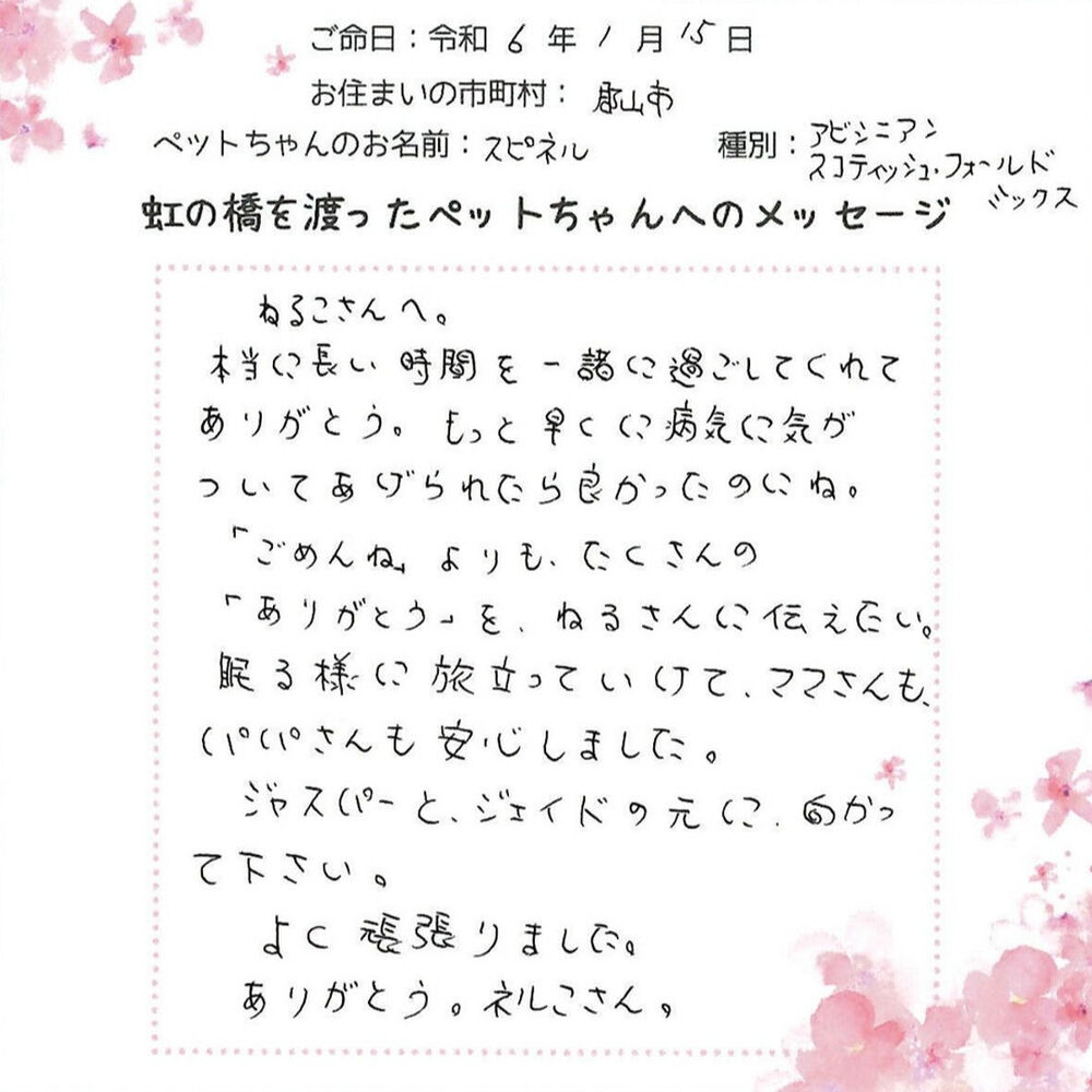 ブログ