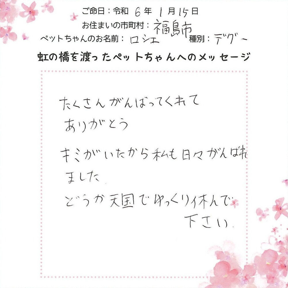 ブログ