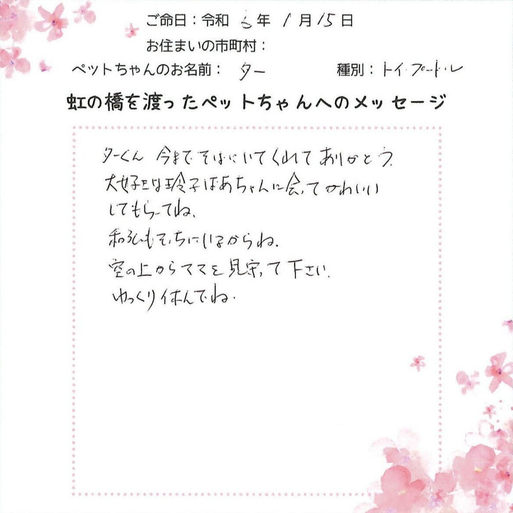 ブログ