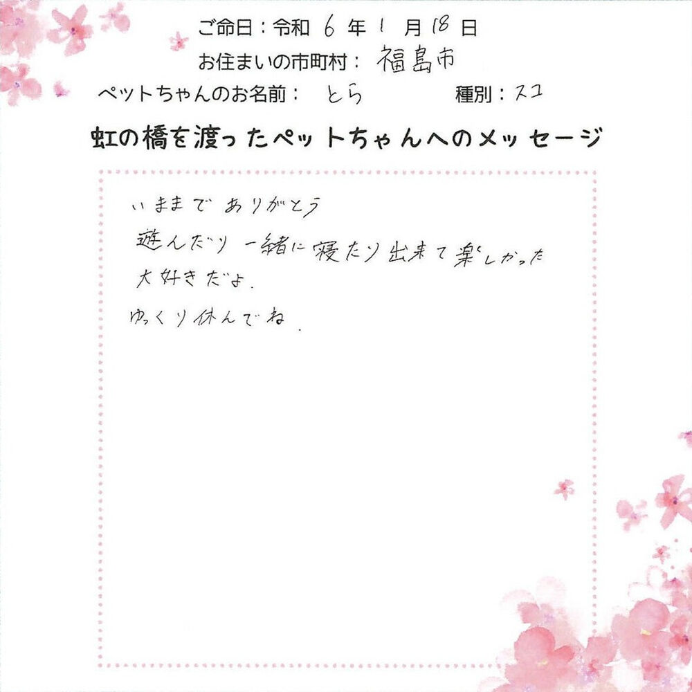 ブログ