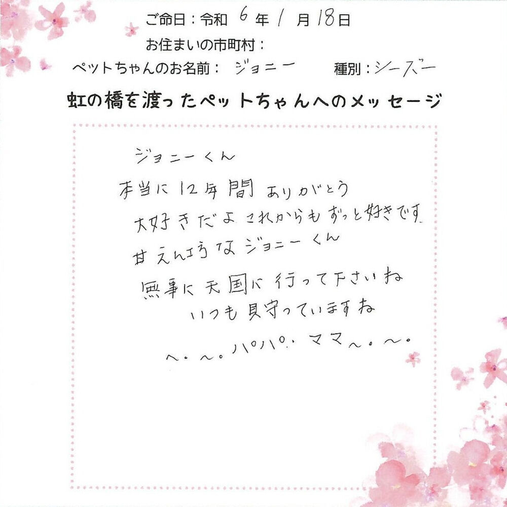 ブログ