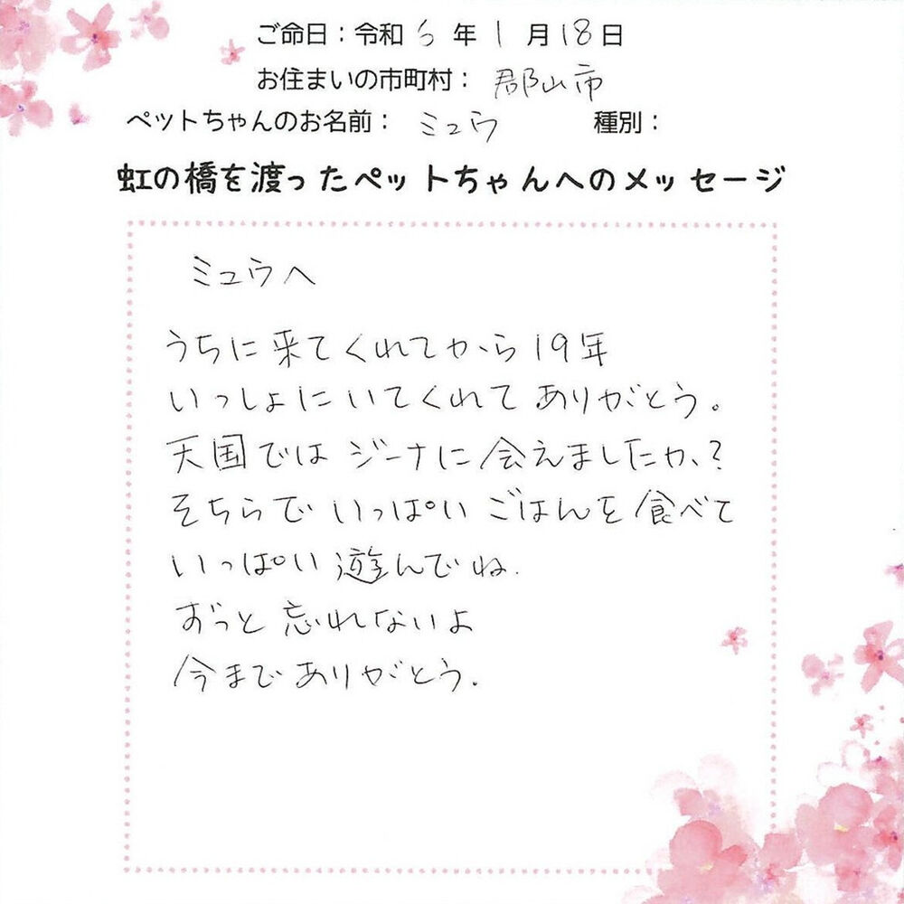ブログ