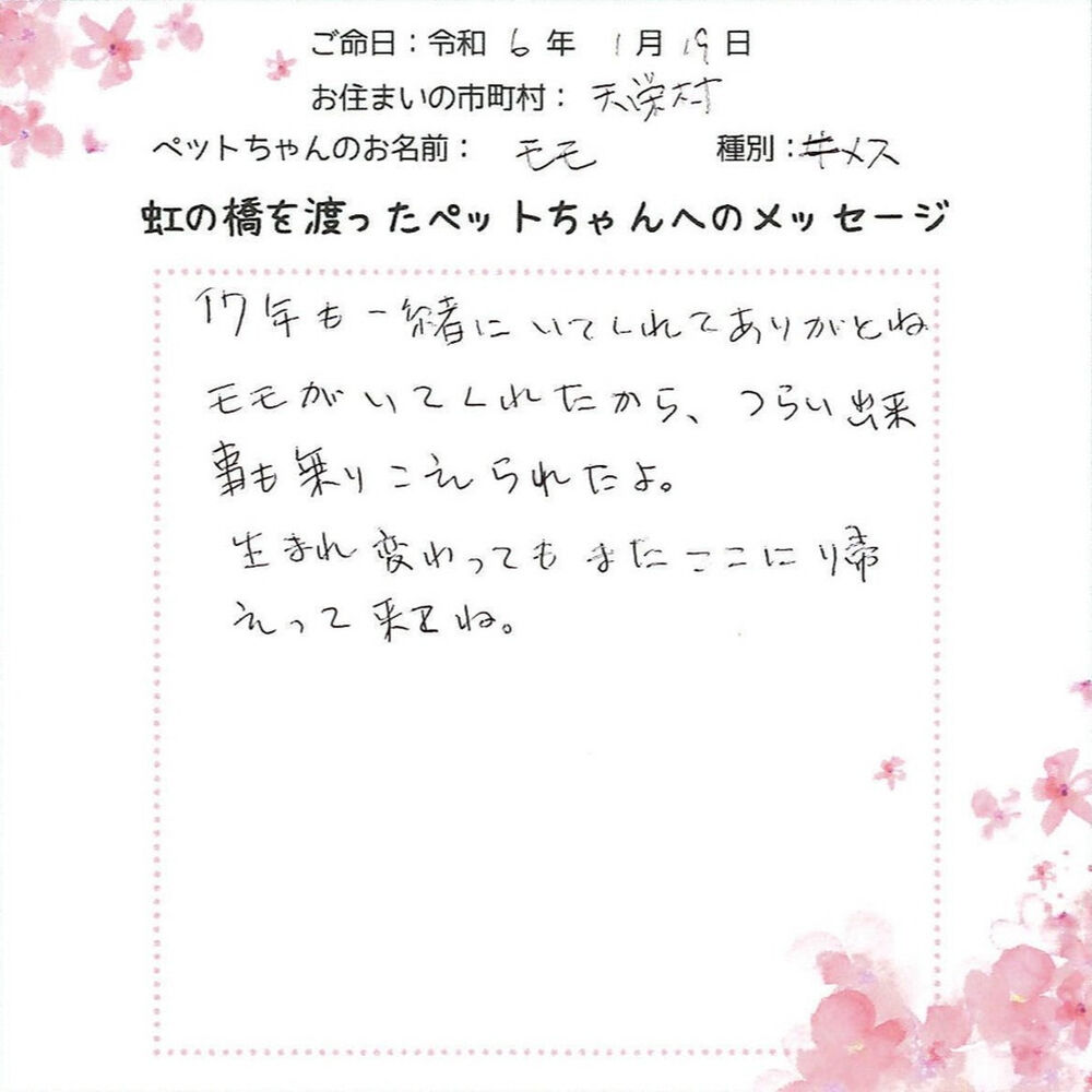 ブログ