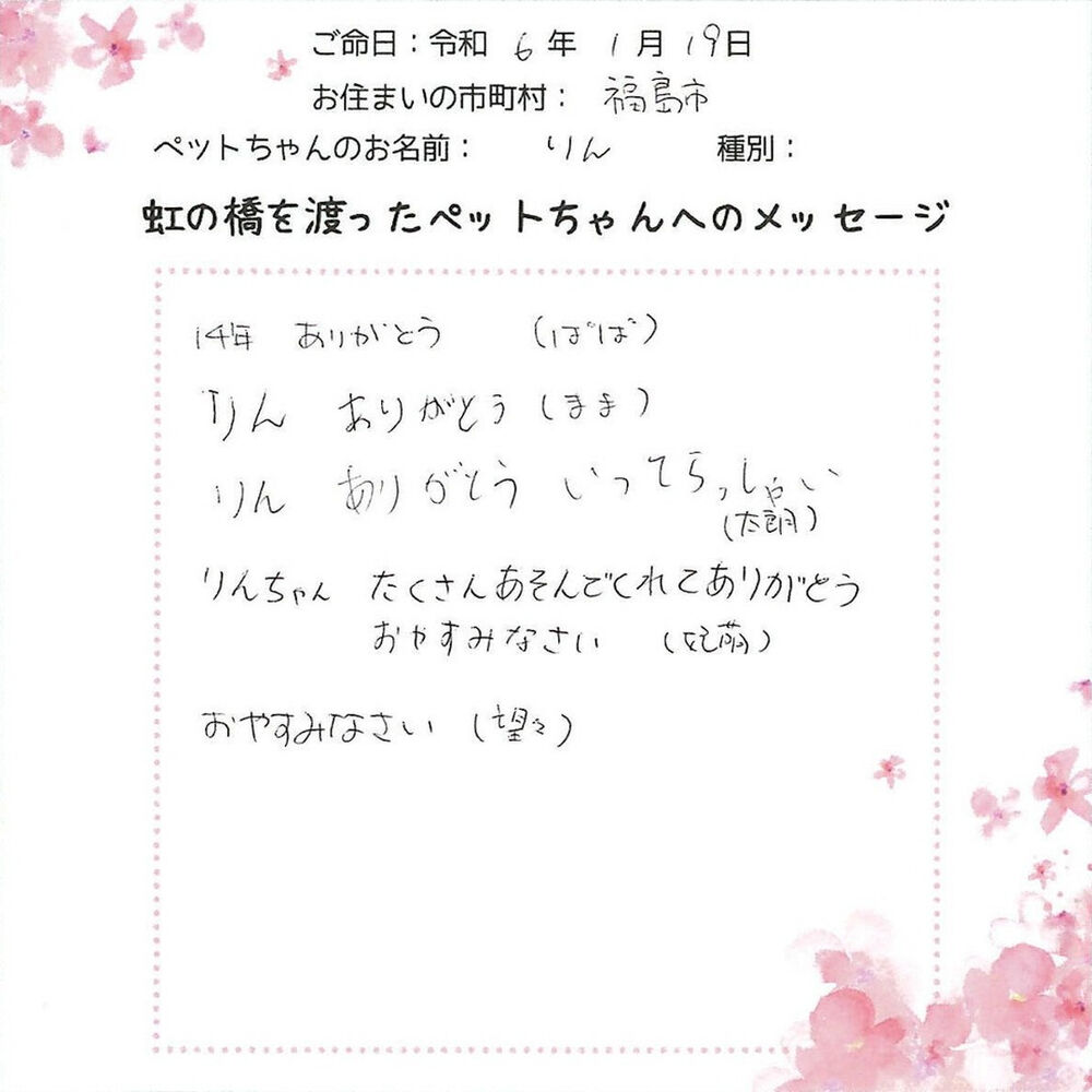 ブログ