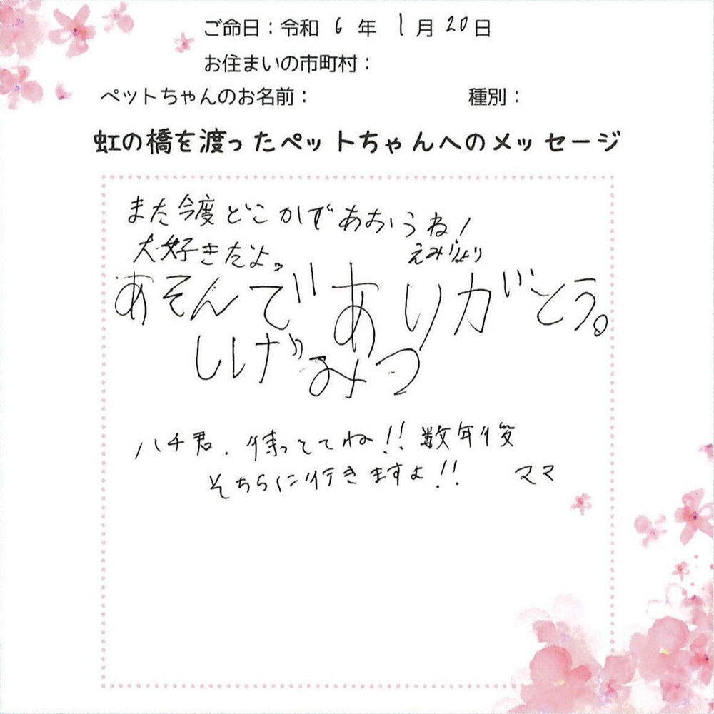 ブログ