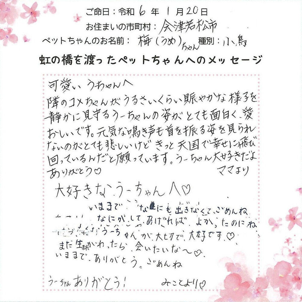 ブログ