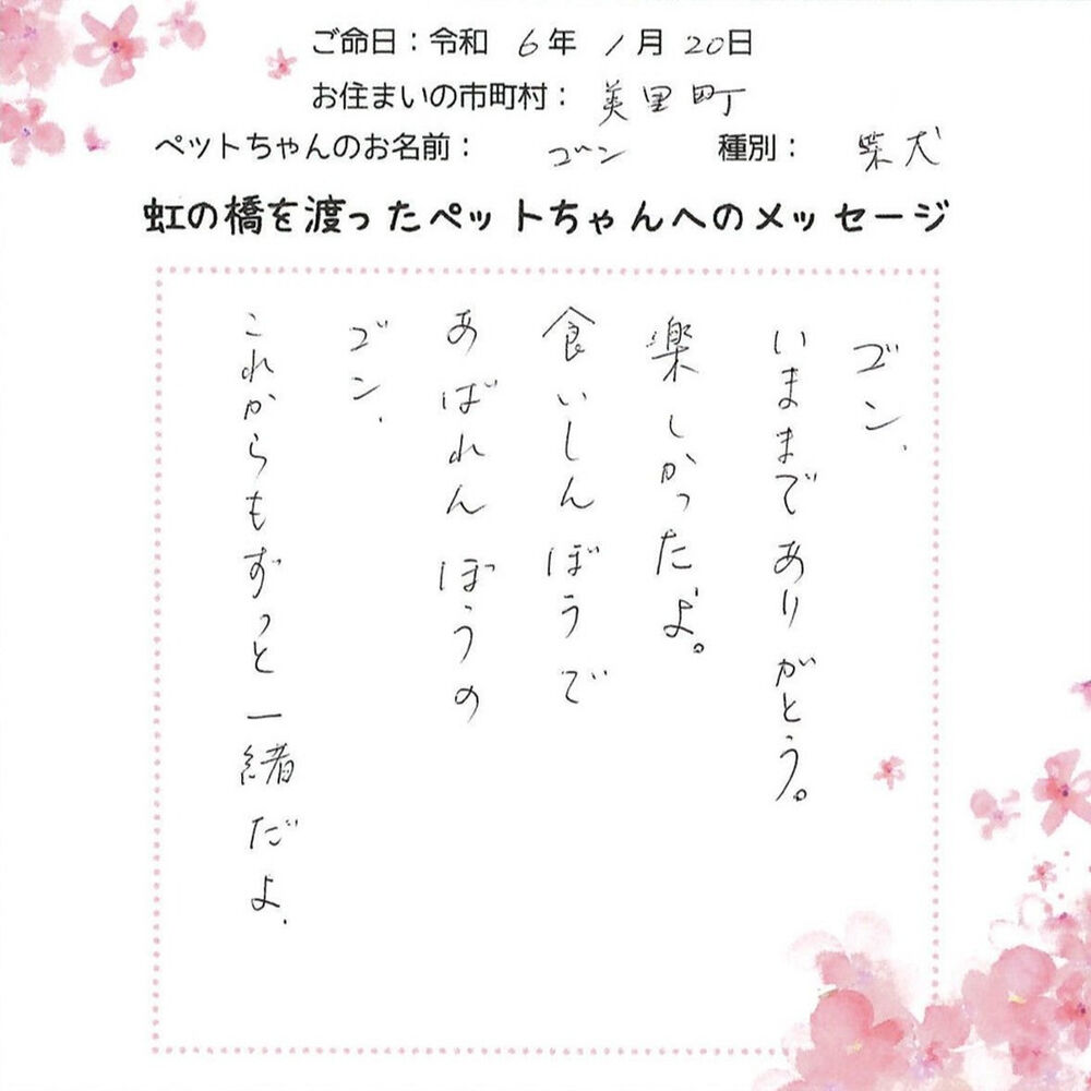 ブログ