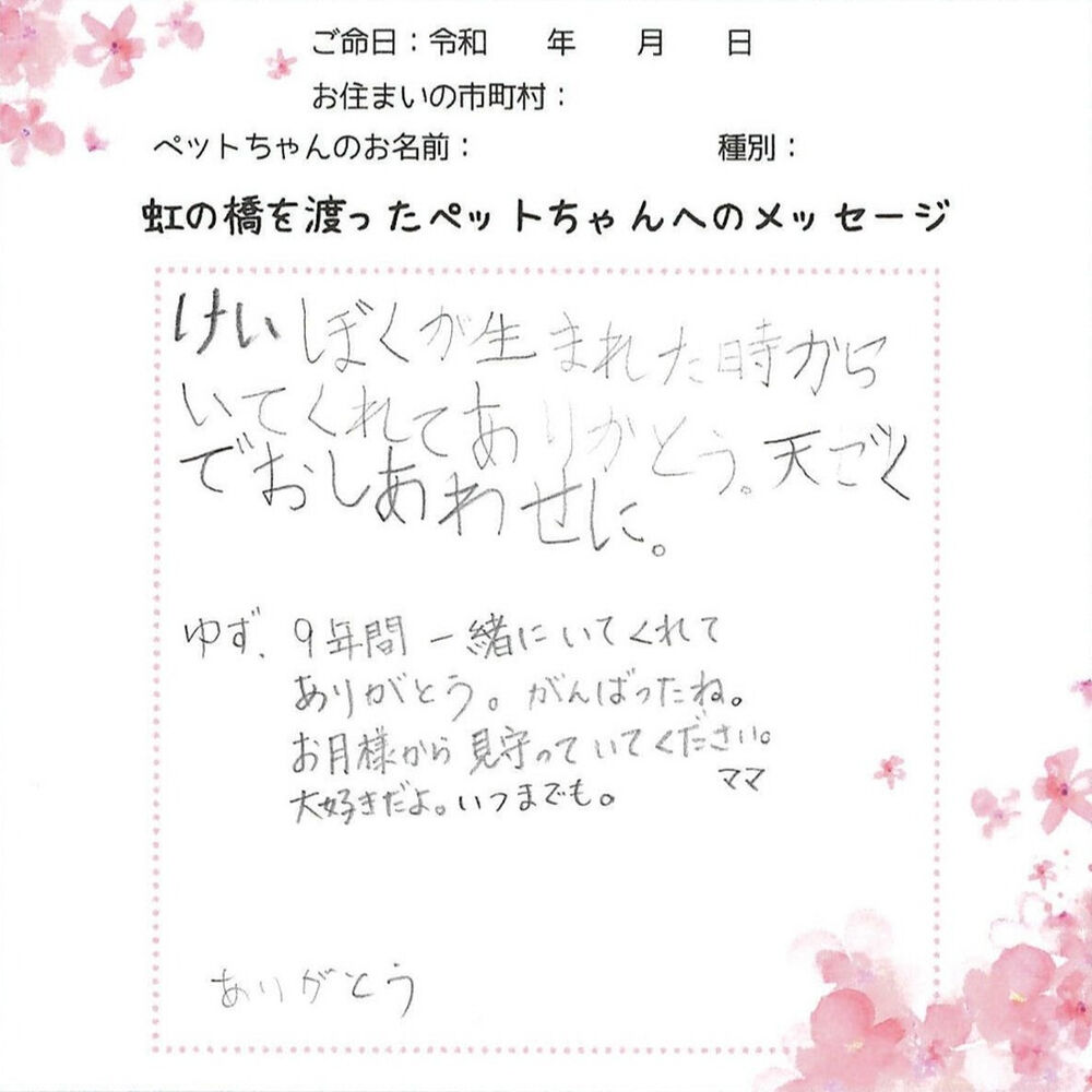 ブログ