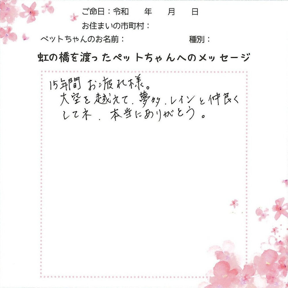 ブログ