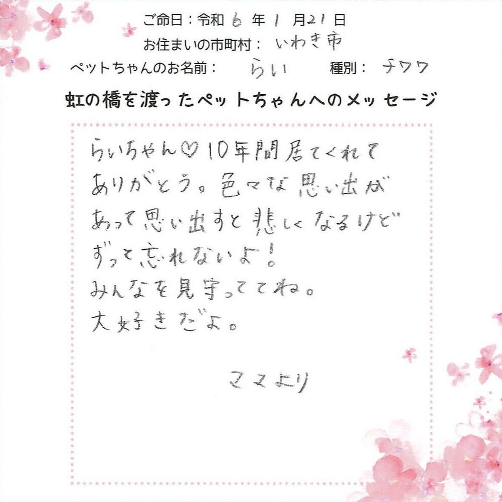 ブログ