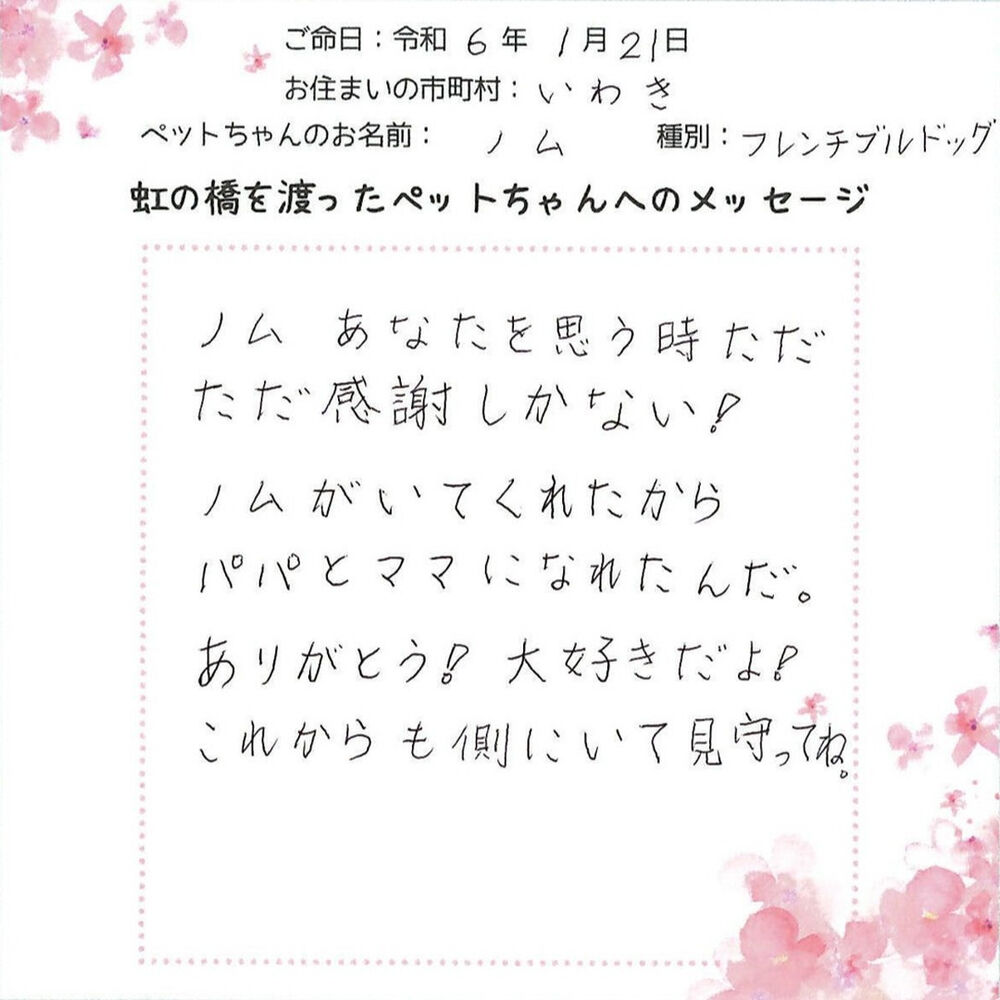ブログ