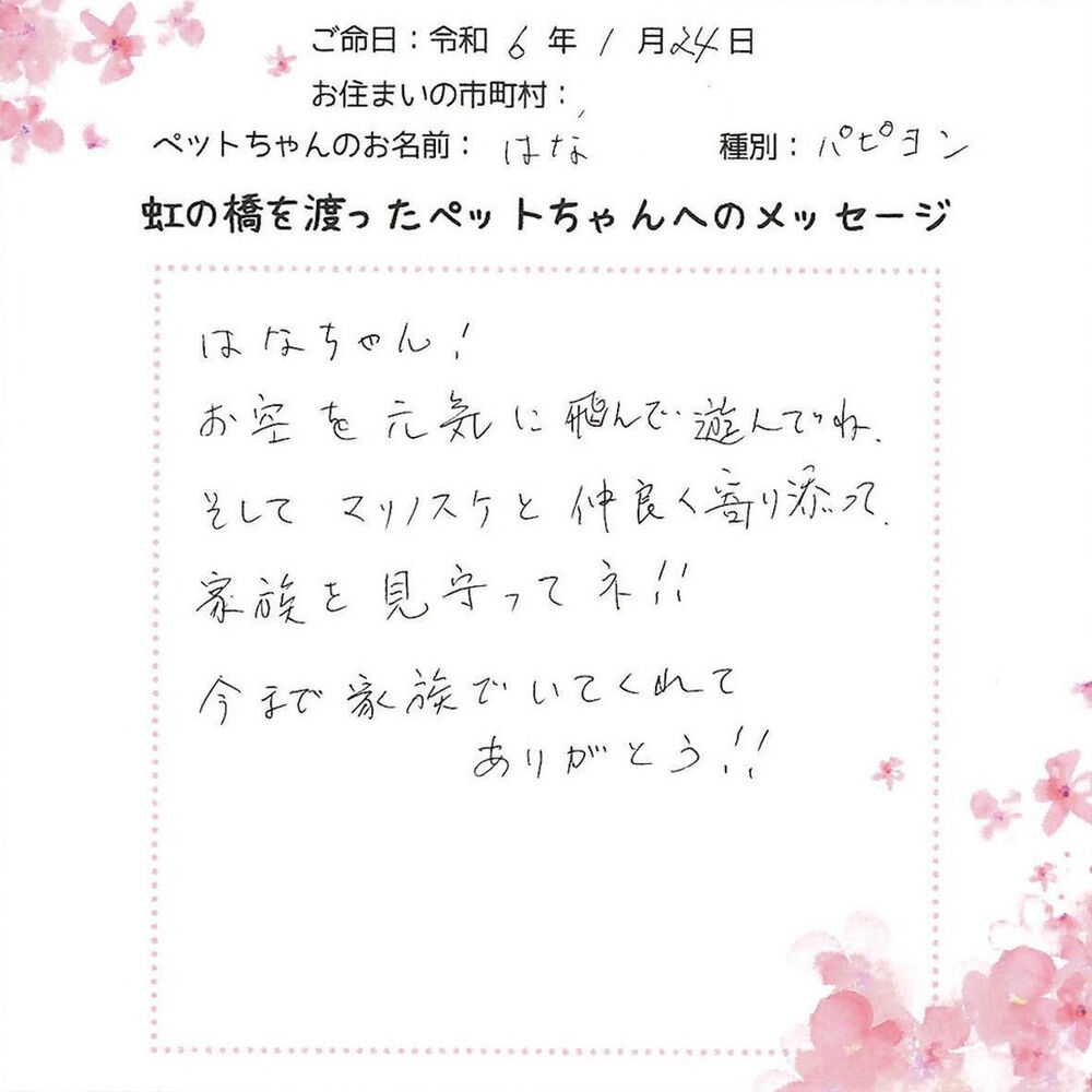 ブログ