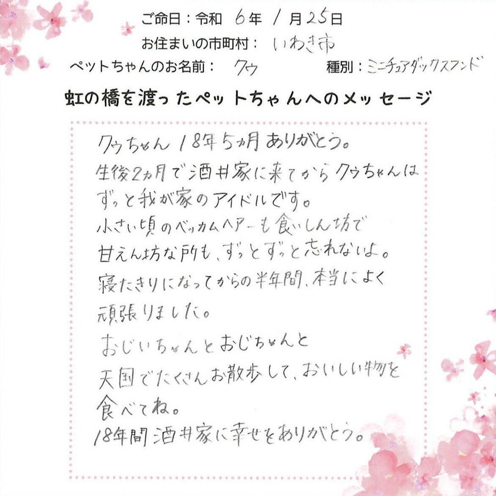 ブログ