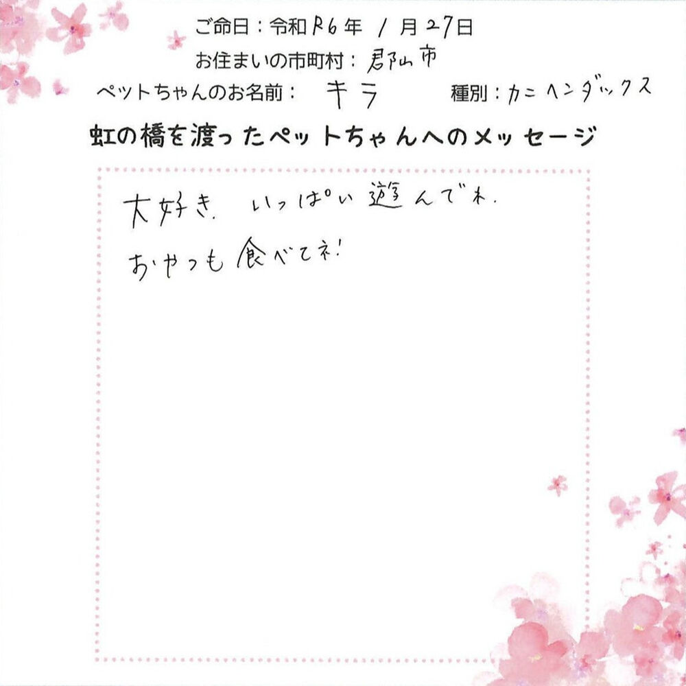 ブログ