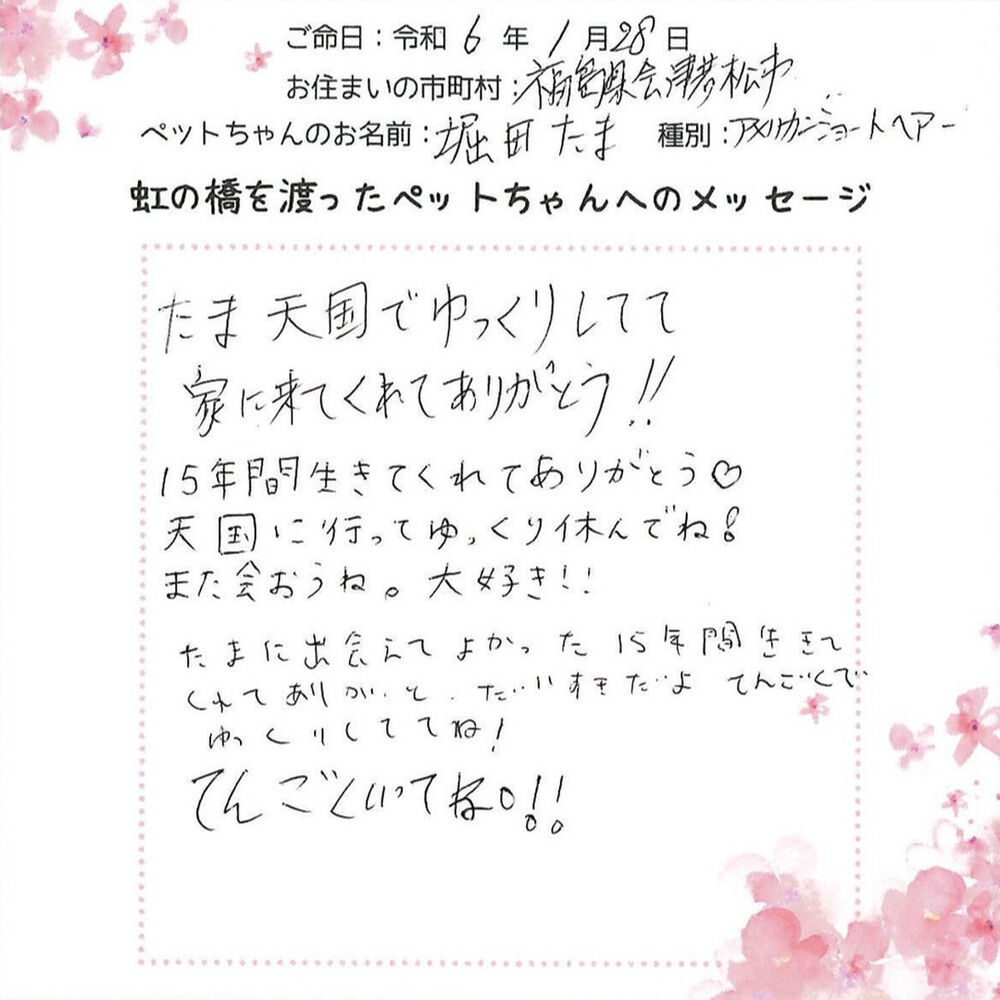 ブログ